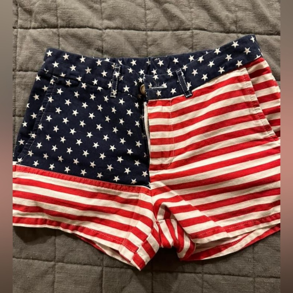 Chubbies American Flag Shorts